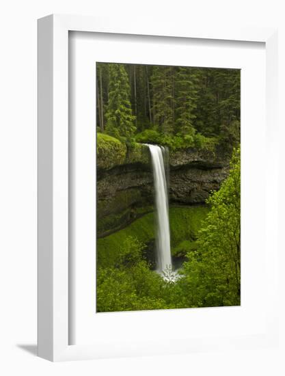 South Falls, Silver Falls State Park, Oregon, Usa-Michel Hersen-Framed Photographic Print