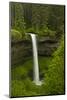 South Falls, Silver Falls State Park, Oregon, Usa-Michel Hersen-Mounted Photographic Print