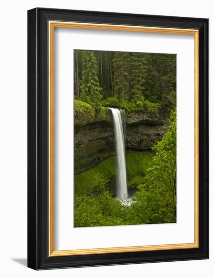 South Falls, Silver Falls State Park, Oregon, Usa-Michel Hersen-Framed Photographic Print