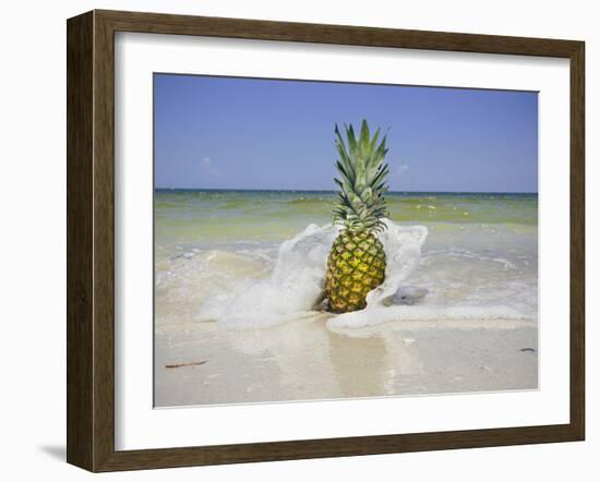 South Florida Pineapple IV-Adam Mead-Framed Photographic Print