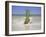 South Florida Pineapple IV-Adam Mead-Framed Photographic Print