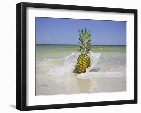 South Florida Pineapple IV-Adam Mead-Framed Photographic Print