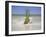 South Florida Pineapple IV-Adam Mead-Framed Photographic Print