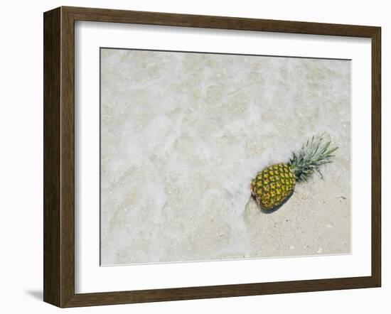 South Florida Pineapple V-Adam Mead-Framed Photographic Print