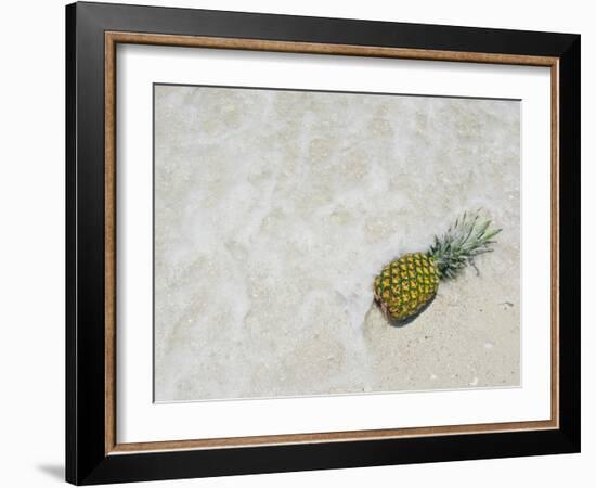 South Florida Pineapple V-Adam Mead-Framed Photographic Print