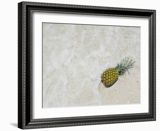 South Florida Pineapple V-Adam Mead-Framed Photographic Print