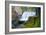 South Fork Falls-Michael Broom-Framed Photographic Print