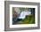 South Fork Falls-Michael Broom-Framed Photographic Print