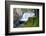 South Fork Falls-Michael Broom-Framed Photographic Print