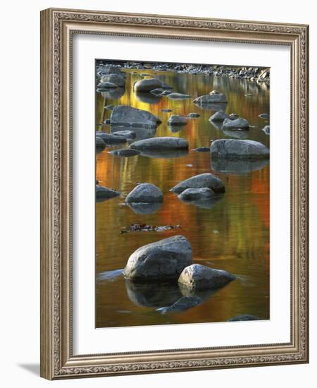 South Fork Potomac R, Monongahela National Forest, West Virginia, USA-Charles Gurche-Framed Photographic Print