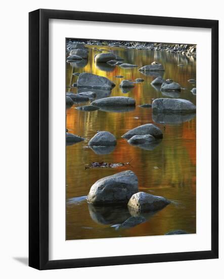 South Fork Potomac R, Monongahela National Forest, West Virginia, USA-Charles Gurche-Framed Photographic Print