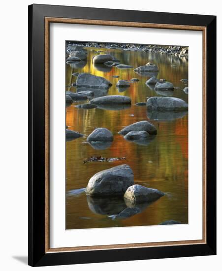 South Fork Potomac R, Monongahela National Forest, West Virginia, USA-Charles Gurche-Framed Photographic Print