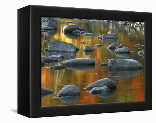 South Fork Potomac R, Monongahela National Forest, West Virginia, USA-Charles Gurche-Framed Premier Image Canvas