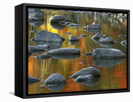 South Fork Potomac R, Monongahela National Forest, West Virginia, USA-Charles Gurche-Framed Premier Image Canvas