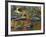 South Fork Potomac R, Monongahela National Forest, West Virginia, USA-Charles Gurche-Framed Photographic Print