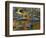 South Fork Potomac R, Monongahela National Forest, West Virginia, USA-Charles Gurche-Framed Photographic Print