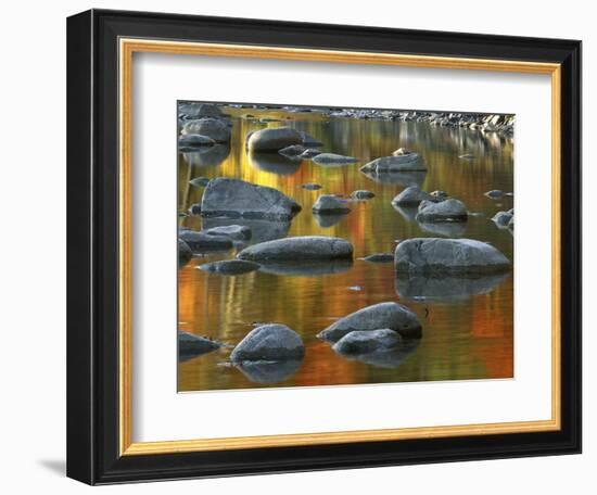 South Fork Potomac R, Monongahela National Forest, West Virginia, USA-Charles Gurche-Framed Photographic Print