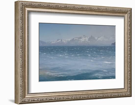 South Georgia. Fortuna Bay. Katabatic Winds-Inger Hogstrom-Framed Photographic Print