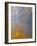 South Georgia Island Abstract-Art Wolfe-Framed Photographic Print