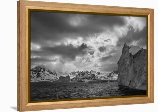 South Georgia Island. Black and white Landscape of iceberg floating and mountain scenery.-Howie Garber-Framed Premier Image Canvas