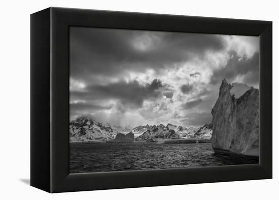 South Georgia Island. Black and white Landscape of iceberg floating and mountain scenery.-Howie Garber-Framed Premier Image Canvas