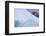 South Georgia Island. Chinstrap Penguins Ride an Iceberg as it Floats by Mountain-Jaynes Gallery-Framed Photographic Print