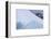 South Georgia Island. Chinstrap Penguins Ride an Iceberg as it Floats by Mountain-Jaynes Gallery-Framed Photographic Print