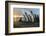 South Georgia Island, Gold Harbor. King Penguins and Fur Seal on Beach at Sunrise-Jaynes Gallery-Framed Photographic Print