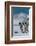 South Georgia Island. Group of king penguins walk on snowy shore of Salisbury Plain-Howie Garber-Framed Photographic Print