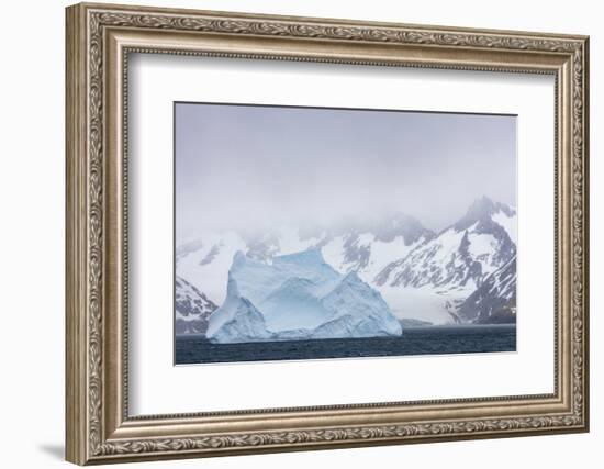 South Georgia Island. Large Iceberg Floats Past Mountains-Jaynes Gallery-Framed Photographic Print