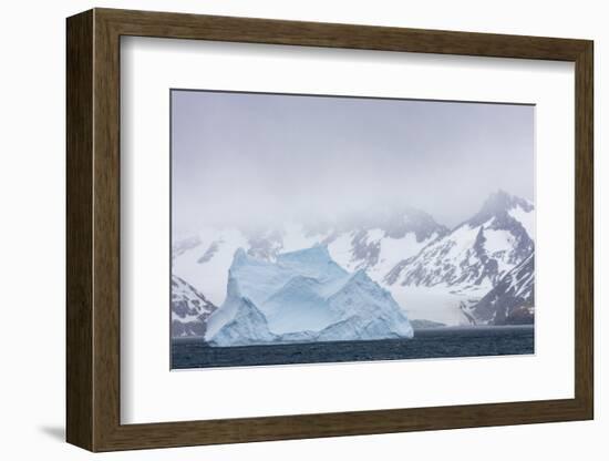 South Georgia Island. Large Iceberg Floats Past Mountains-Jaynes Gallery-Framed Photographic Print