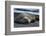 South Georgia Island. Male Elephant Seal on the beach at Right Whale Bay.-Howie Garber-Framed Photographic Print