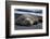 South Georgia Island. Male Elephant Seal on the beach at Right Whale Bay.-Howie Garber-Framed Photographic Print