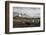 South Georgia Island, Prion Island. Landscape with Juvenile Fur Seal-Jaynes Gallery-Framed Photographic Print