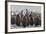 South Georgia Island, Salisbury Plains. Adult King Penguins Amid Juveniles During Rainstorm-Jaynes Gallery-Framed Photographic Print