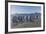 South Georgia Island, Salisbury Plains. Group of King Penguins on Beach-Jaynes Gallery-Framed Photographic Print