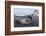 South Georgia Island, St. Andrew's Bay. Close-Up of Elephant Seal Pup on Beach-Jaynes Gallery-Framed Photographic Print