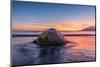 South Georgia Island, St. Andrew's Bay. Elephant Seal in Beach Surf at Sunrise-Jaynes Gallery-Mounted Photographic Print