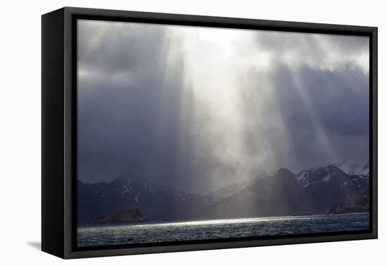 South Georgia, King Edward Cove, Grytviken. King Edward Point towards Grytviken.-Ellen Goff-Framed Premier Image Canvas