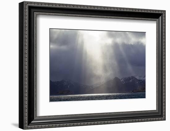 South Georgia, King Edward Cove, Grytviken. King Edward Point towards Grytviken.-Ellen Goff-Framed Photographic Print