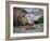 South Georgia pintail swimming in front of Southern elephant seal, Gold Harbour, South Georgia-Tony Heald-Framed Photographic Print