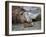 South Georgia pintail swimming in front of Southern elephant seal, Gold Harbour, South Georgia-Tony Heald-Framed Photographic Print