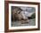 South Georgia pintail swimming in front of Southern elephant seal, Gold Harbour, South Georgia-Tony Heald-Framed Photographic Print