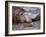 South Georgia pintail swimming in front of Southern elephant seal, Gold Harbour, South Georgia-Tony Heald-Framed Photographic Print