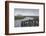 South Georgia. Saint Andrews. Crowd of King Penguins Line a Stream-Inger Hogstrom-Framed Photographic Print