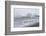 South Georgia, Salisbury Plain. After a snowfall, the beach at Salisbury Plain-Ellen Goff-Framed Photographic Print