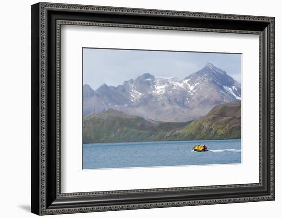 South Georgia. Zodiac with Tourists Makes its Way Back to the Ship-Inger Hogstrom-Framed Photographic Print