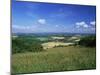 South Harting from the South Downs Way, Harting Down, West Sussex, England, United Kingdom-Pearl Bucknall-Mounted Photographic Print