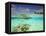 South Huvadhoo Atoll, Southern Maldives, Indian Ocean-Stuart Westmorland-Framed Premier Image Canvas