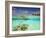 South Huvadhoo Atoll, Southern Maldives, Indian Ocean-Stuart Westmorland-Framed Photographic Print